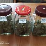 First Balkon-Grow