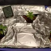 GG#4 Hydro