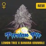 Persian Pie