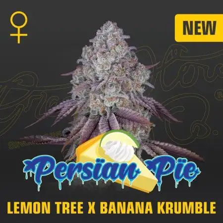 Persian Pie