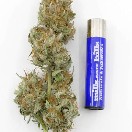 Medikit Auto 2. time