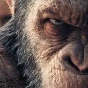 Apes Are Stronger Together (Feat. GG)
