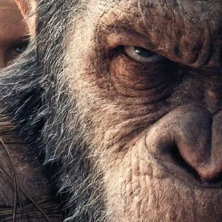 Apes Are Stronger Together (Feat. GG)