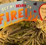 Sweet seeds