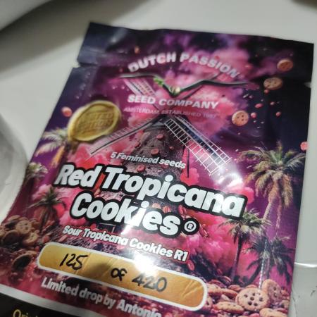 Red tropicana cookies