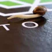AUTOSEEDS - Sour Diesel