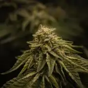 Frozen Nectar HappyPlant420 NFT