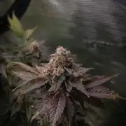 Garlic Cookies #2 Pureinstinto NFT