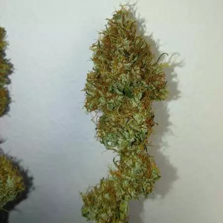 1st NL AUTO RQS 