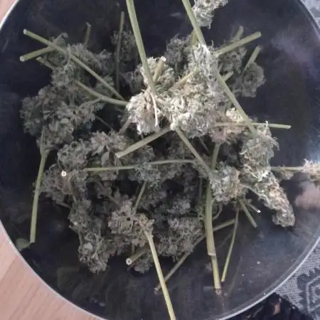 Special queen auto 2025 outdoor