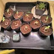 Mix it 2026 Outdoor Germany