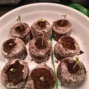 Mix it 2026 Outdoor Germany