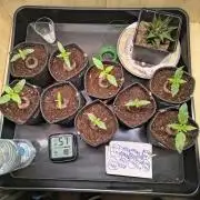 Mix it 2026 Outdoor Germany