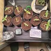 Mix it 2026 Outdoor Germany