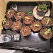 Mix it 2026 Outdoor Germany