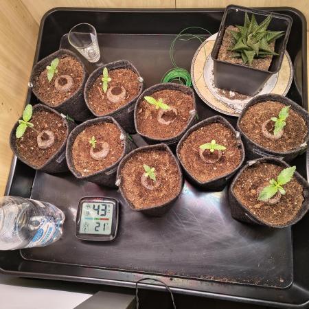 Mix it 2026 Outdoor Germany