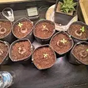 Mix it 2026 Outdoor Germany