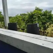 Mr Nice Male Hunt