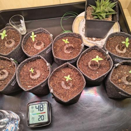 Mix it 2026 Outdoor Germany