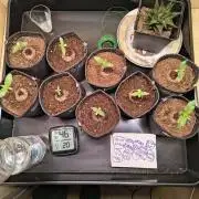 Mix it 2026 Outdoor Germany