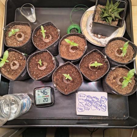 Mix it 2026 Outdoor Germany