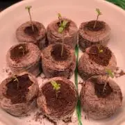 Mix it 2026 Outdoor Germany