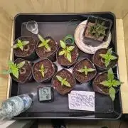 Mix it 2026 Outdoor Germany