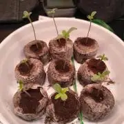 Mix it 2026 Outdoor Germany