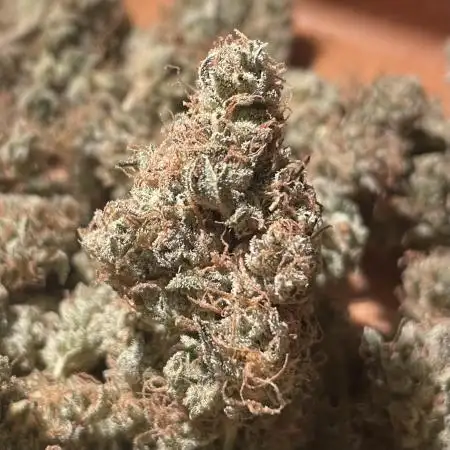 Zoap #1