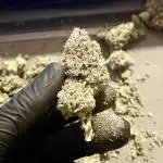 White Fire OG