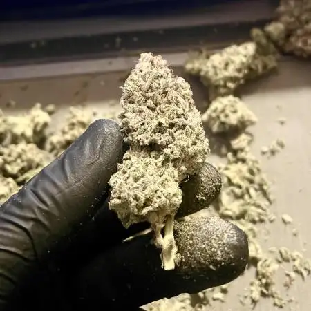 White Fire OG