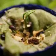 Ma Huang / Ephedra Sinica