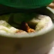 Brugmansia Versicolor / Angel's Trumpets