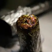 🔞Papaver Somniferum VI