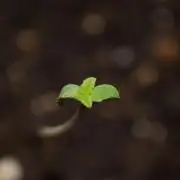 Making a Monster 🗿