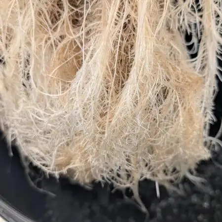 Fritter Fondue DWC