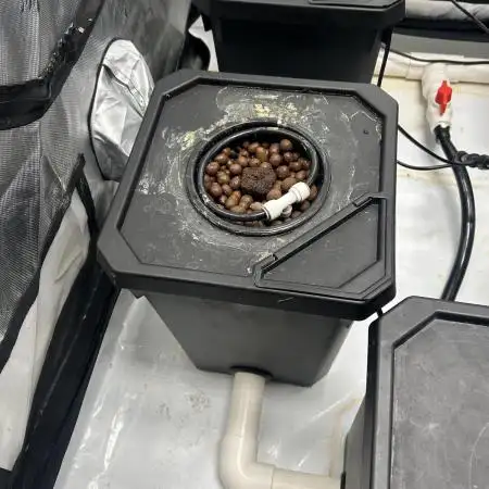Candy Auto