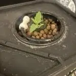Auto Moon Rock