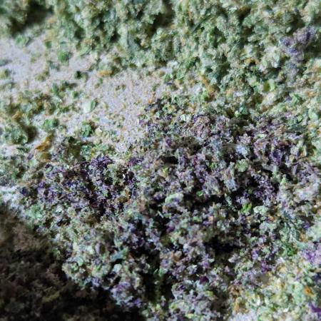 34 Pink Kush