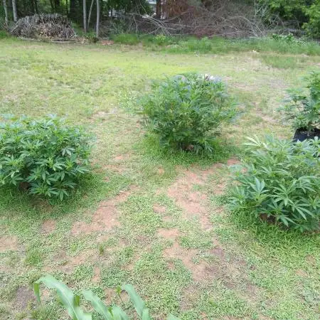 Maine 2026