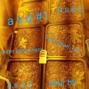 SATIVA DOMINANT INDOOR GROW