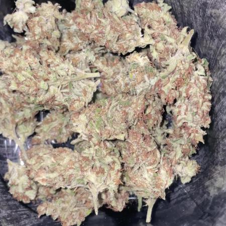 Barneys Moby dick/cookies kush autos