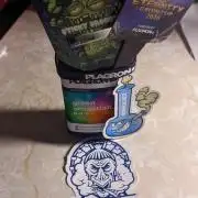 Plagron/Zamnesia Eternity Cup 2026