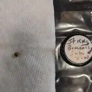 Plagron/Zamnesia Eternity Cup 2026