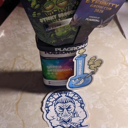 Plagron/Zamnesia Eternity Cup 2026