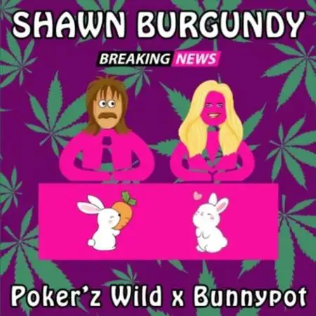 Shawn Burgundy