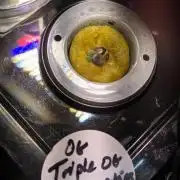 Showcasing my own strain!