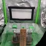 CBD Fix Auto / Sticky Beast Auto