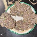  RUNTZ : BARNEY'S FARM  