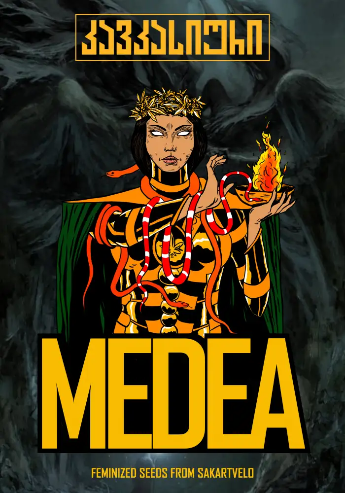Medea Auto